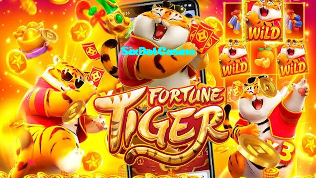 available types of SixDotCasino bet including pre-match live express and system bets